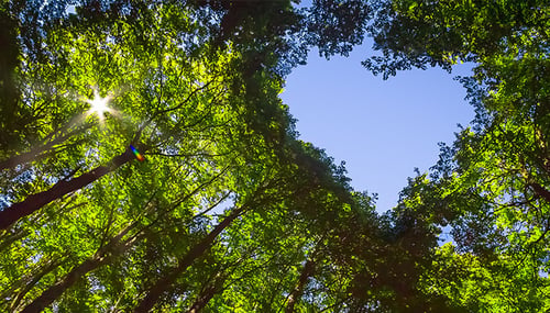How can you use Microsoft Dynamics 365 CRM for sustainability?
