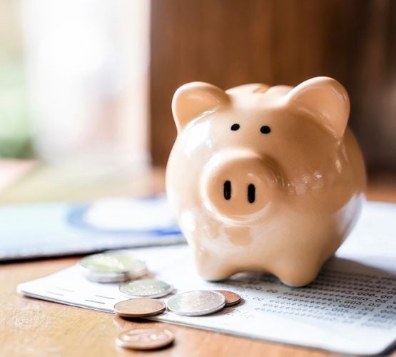 ksp-555x500-cost-effective-pricing-piggybank