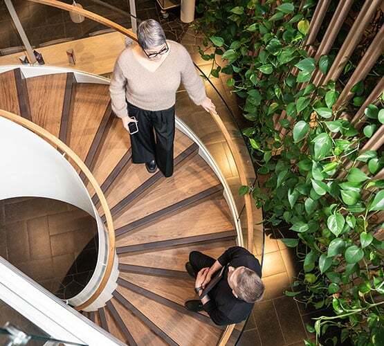 ksp-555x500-two-people-standing-in-a-stairwell-talking-green-plants
